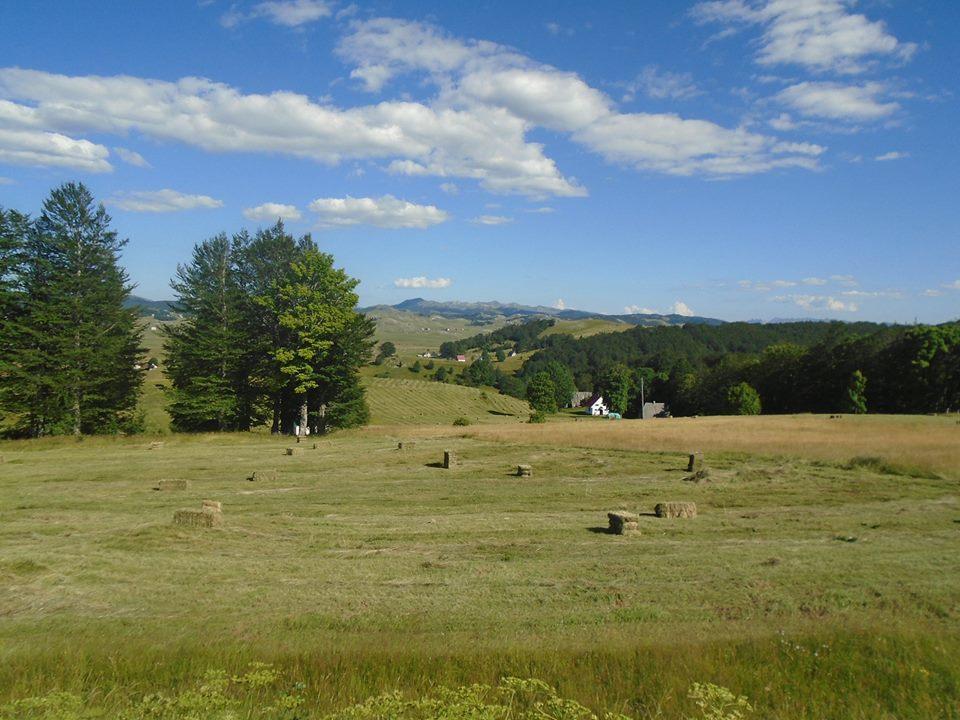 Vila Koliba Toplik Žabljak Exteriér fotografie