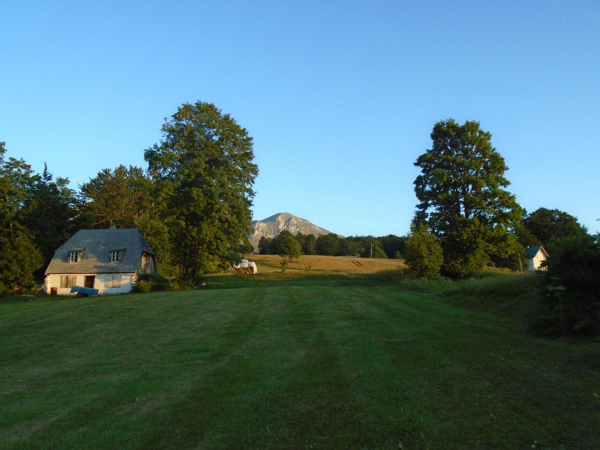 Vila Koliba Toplik Žabljak Exteriér fotografie